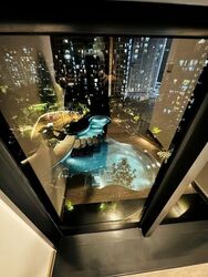 Sengkang Grand Residences (D19), Apartment #533945381